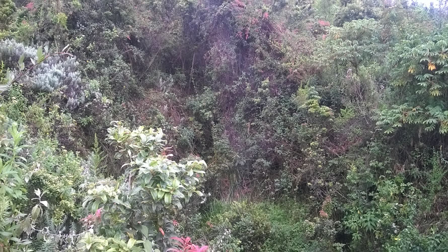 Visit-Nyiragongo-in-Congo